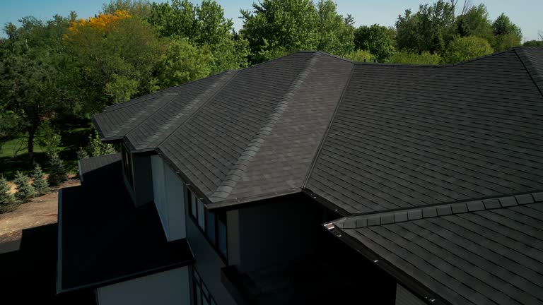 Best Asphalt Shingle Roofing  in Long Prairie, MN