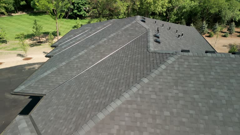 Best Chimney Flashing Repair  in Long Prairie, MN