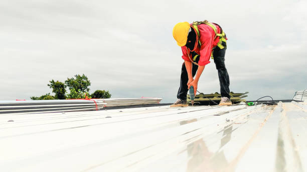 Best Roof Moss and Algae Removal  in Long Prairie, MN