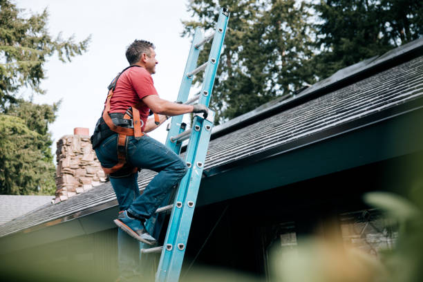 Best Emergency Roof Repair Services  in Long Prairie, MN